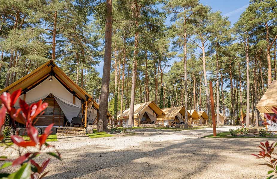 Glamping tenten op het park van Hoge Kempen