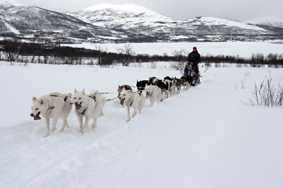 Tromso met de hondenslee