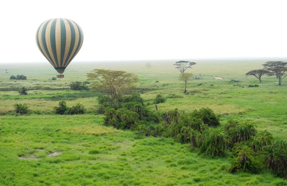 Met een luchtballon boven Serengeti zweven