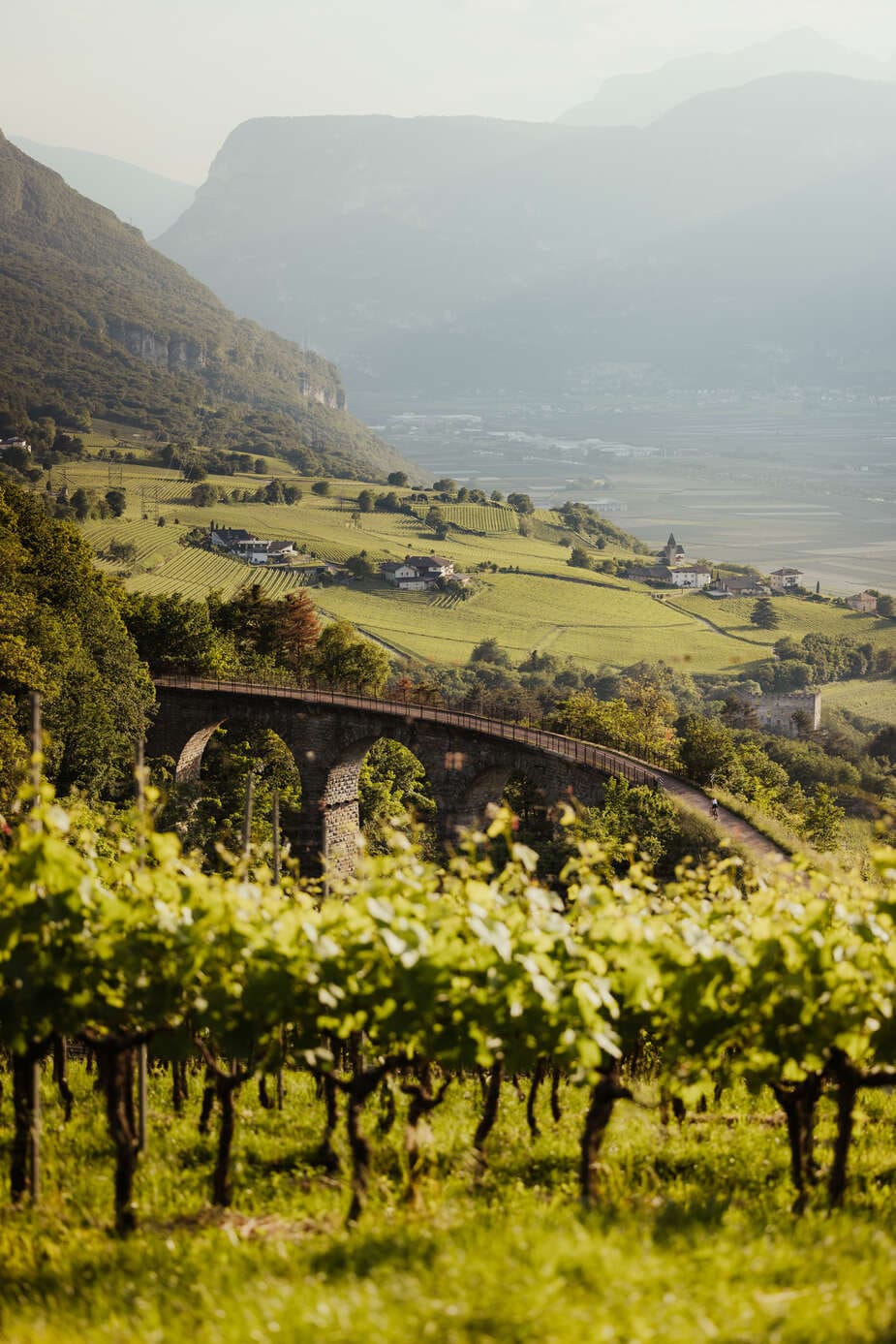 Wijnroute fietsen in Zuid-Tirol