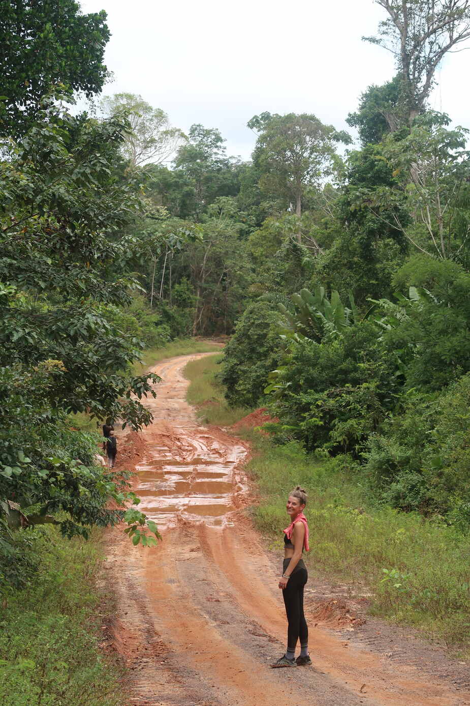 De jungle van Suriname