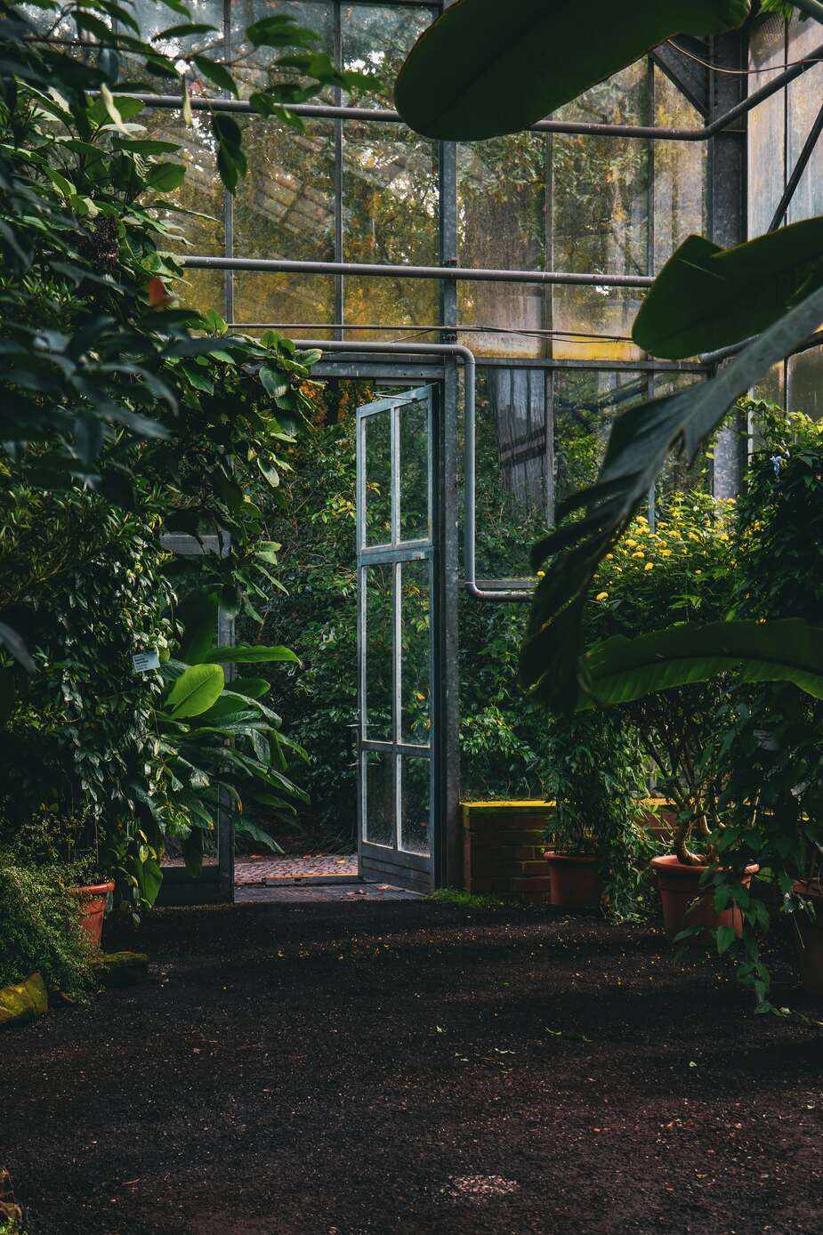 Botanische tuin in Keulen