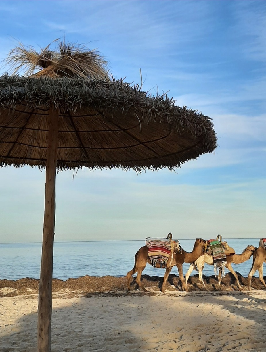 Resort in Tunesië voor een ontspannen vakantie