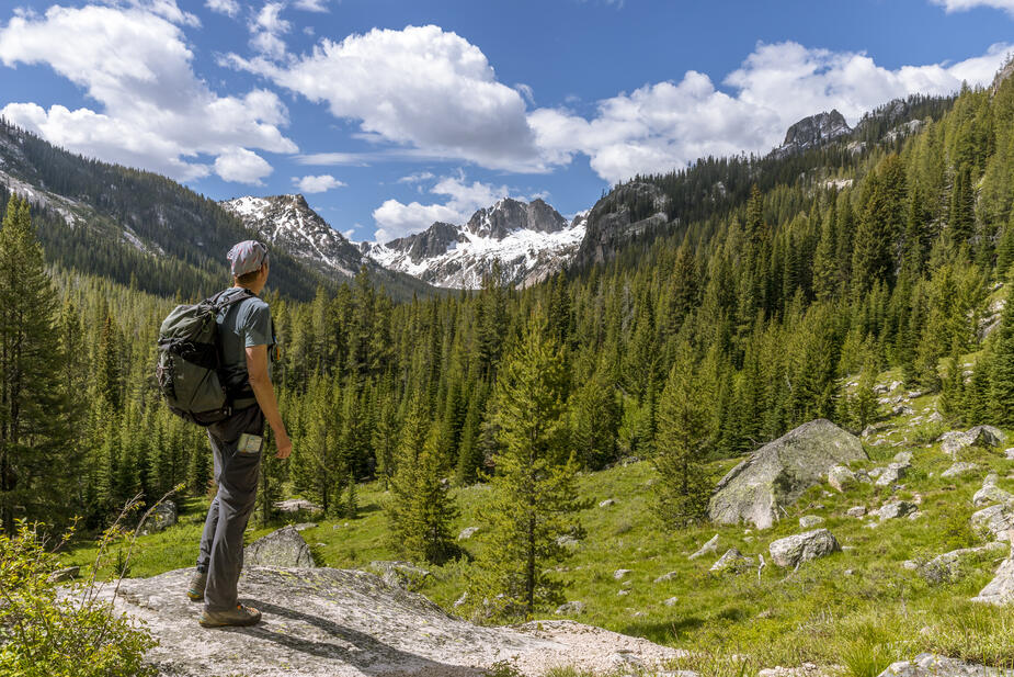 Sawtooth Range