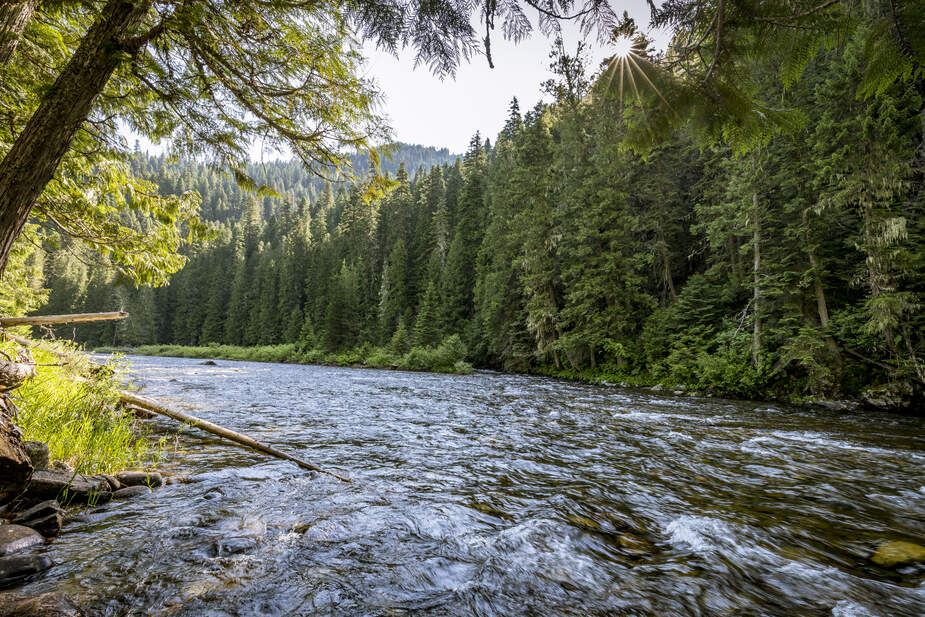 De Lochsa rivier in Amerika