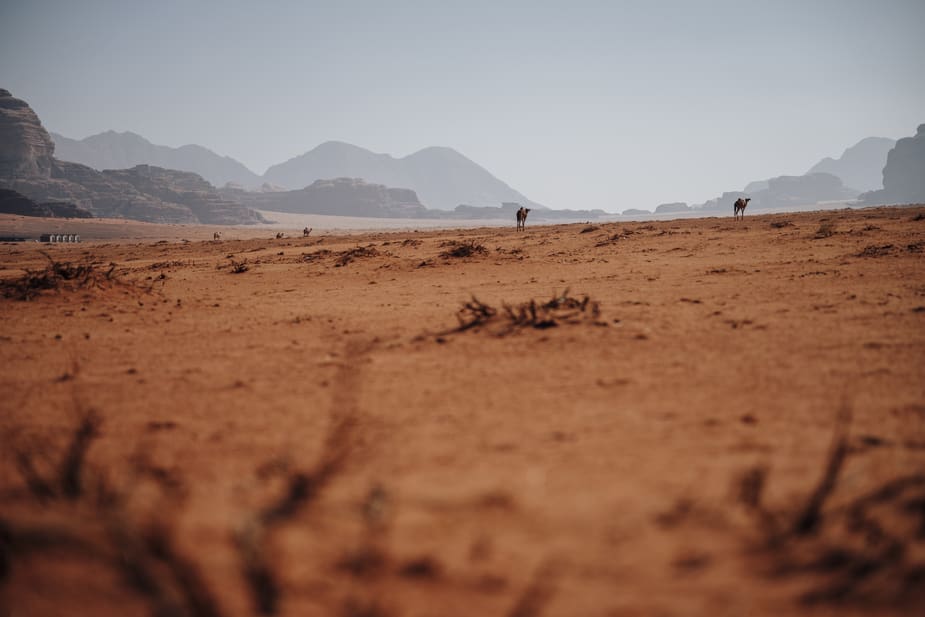 Woestijn in Jordanië