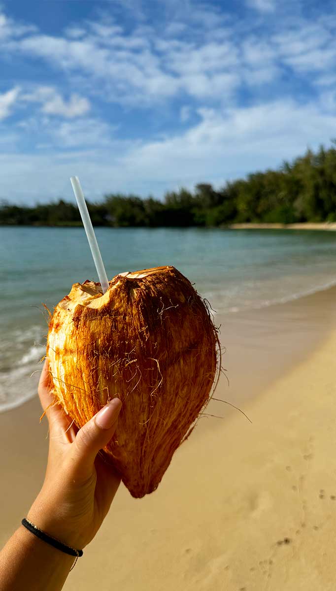 Kokosnoot op het strand van North Shore Oahu