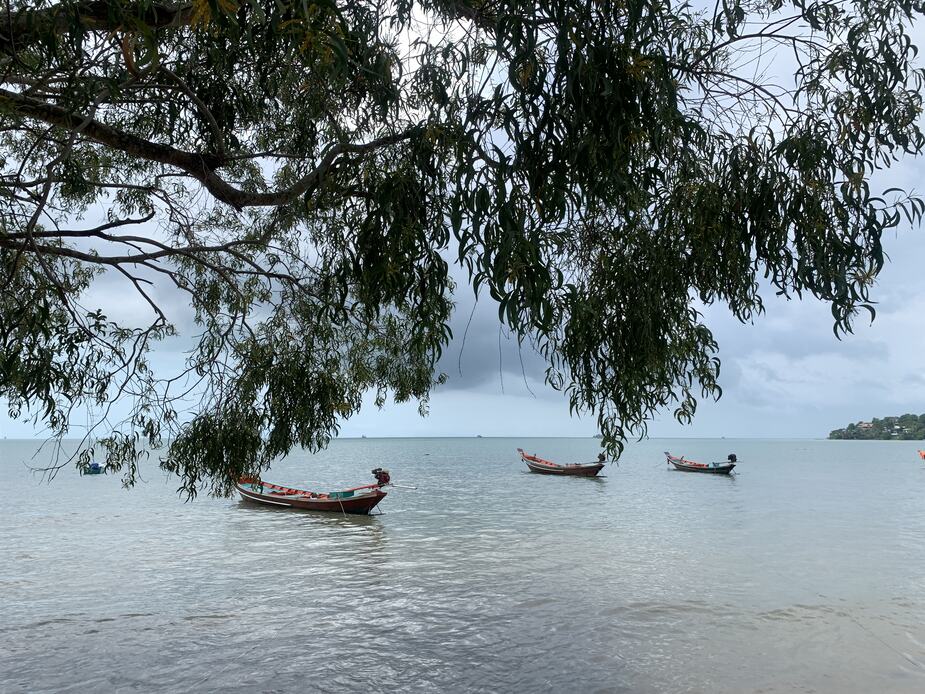 Bootjes op Koh Phangan in Thailand