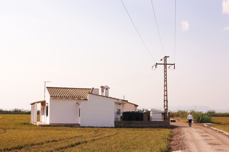 Rijstvelden in natuurpark Albufera in Valencia