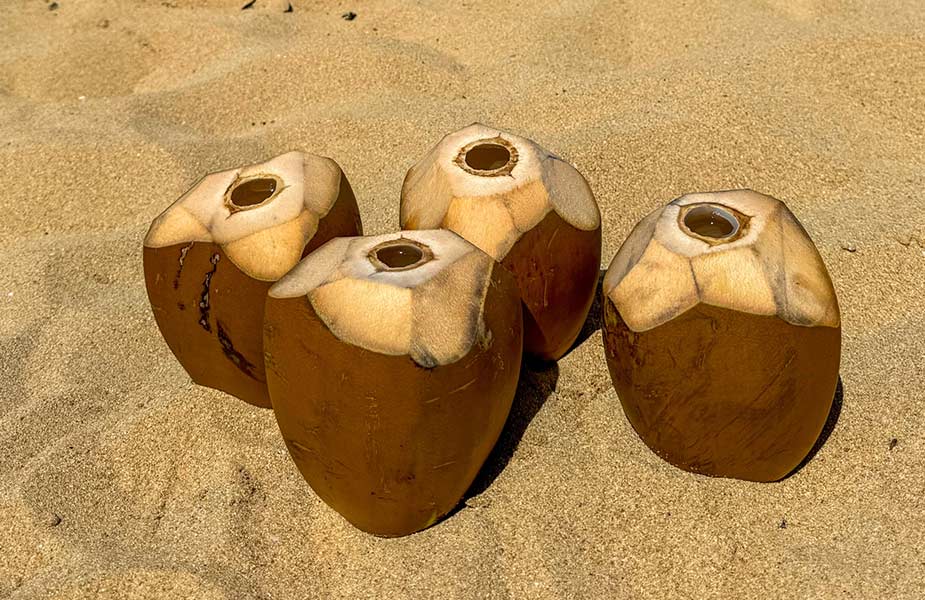 Genieten van kokosnoten op het strand