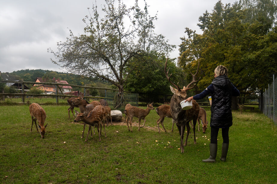 Slapen op een boerderij in Tsjechië