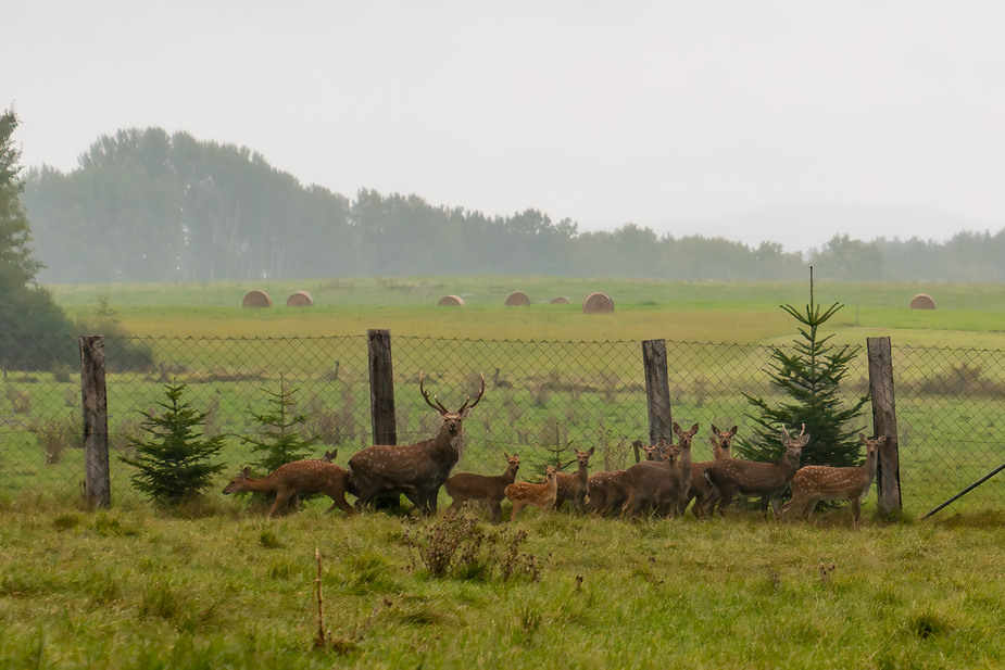 Het platteland van Tsjechië