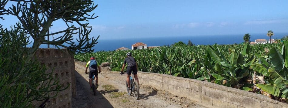 Sporten op Tenerife