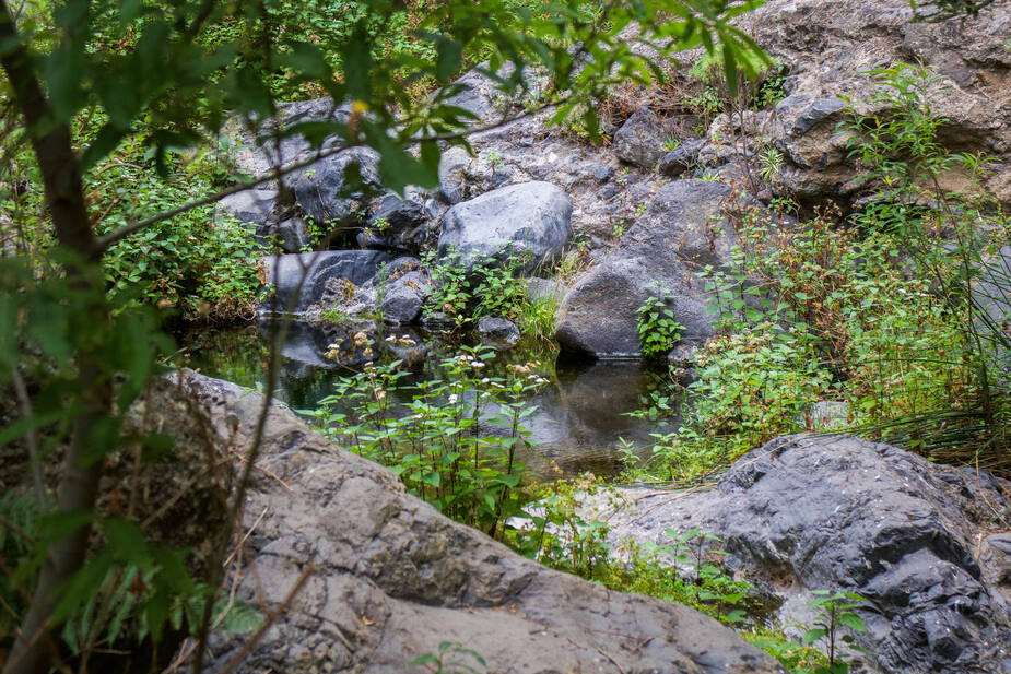 Senda del barranco del Infierno op Tenerife