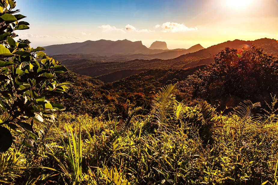 Natuur op Mauritius