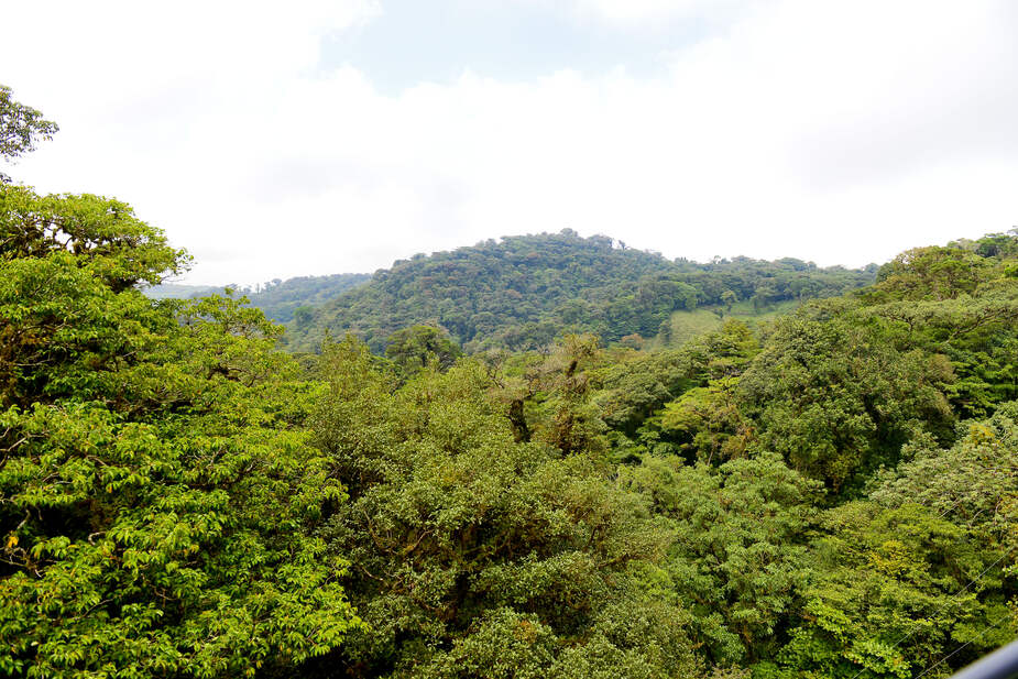 Monteverde